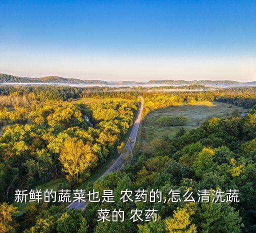 新鮮的蔬菜也是 農(nóng)藥的,怎么清洗蔬菜的 農(nóng)藥