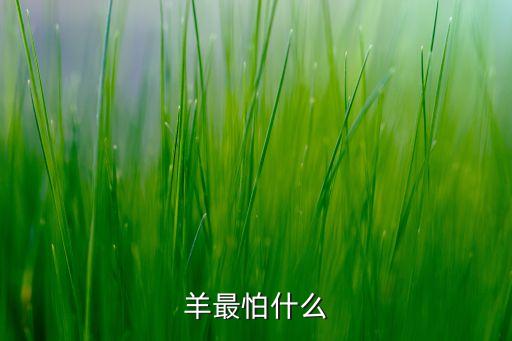 羊最怕什么