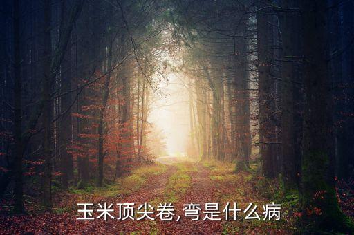  玉米頂尖卷,彎是什么病