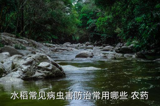 毒死稗什么類(lèi)型的農(nóng)藥,什么農(nóng)藥可以快速毒死人