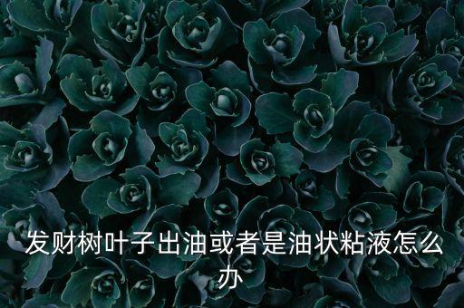  發(fā)財樹葉子出油或者是油狀粘液怎么辦