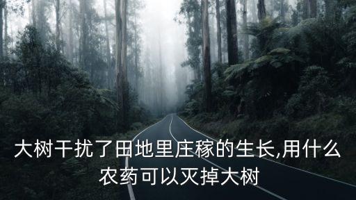 秋季種樹要用什么農(nóng)藥