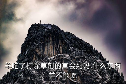 羊吃了打除草劑的草會(huì)死嗎,什么東西羊不能吃