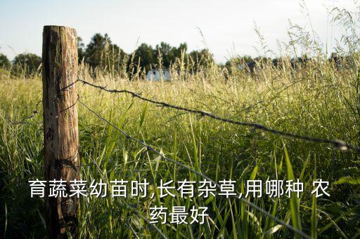 育蔬菜幼苗時,長有雜草,用哪種 農藥最好