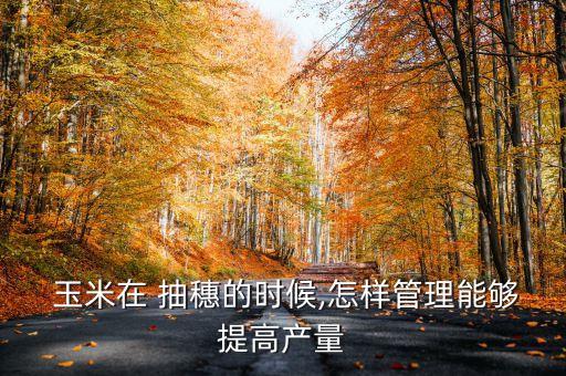  玉米在 抽穗的時候,怎樣管理能夠提高產量