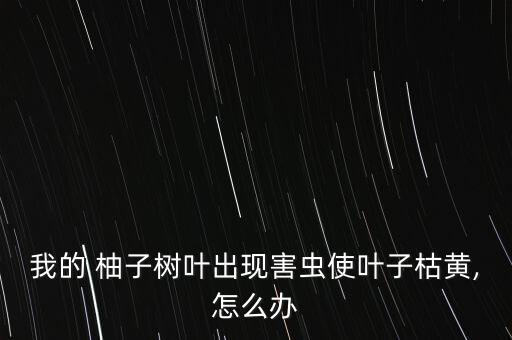 我的 柚子樹葉出現害蟲使葉子枯黃,怎么辦