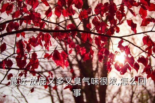 最近 放屁又多又臭氣味很濃,怎么回事