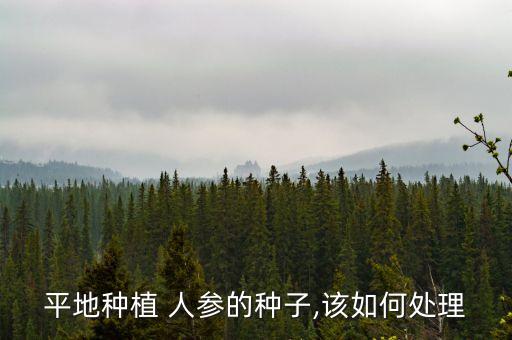 平地種植 人參的種子,該如何處理