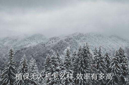 植保無人機怎么樣,效率有多高