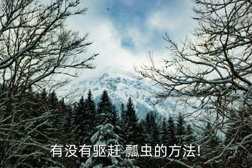 有沒有驅(qū)趕 瓢蟲的方法!