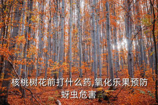 核桃什么時候用農藥,核桃適合什么時候吃
