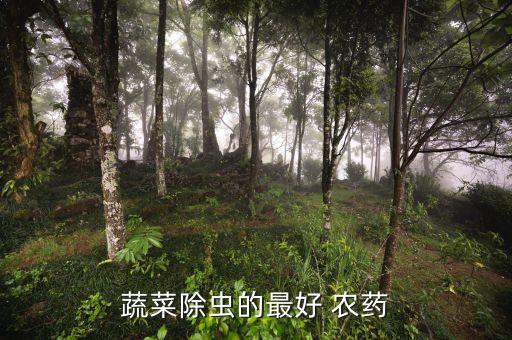 青菜噴什么農(nóng)藥打蟲,青菜打了農(nóng)藥幾天能吃打蟲的