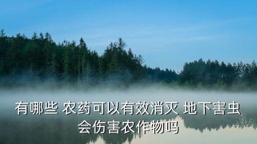 有哪些 農藥可以有效消滅 地下害蟲會傷害農作物嗎