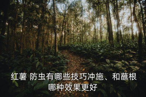  紅薯 防蟲有哪些技巧沖施、和蘸根哪種效果更好