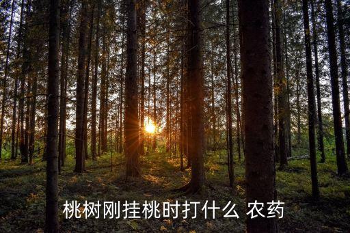 桃樹剛掛桃時打什么 農(nóng)藥
