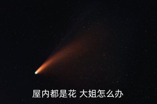 屋內(nèi)都是花 大姐怎么辦