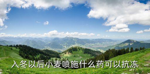 入冬以后小麥噴施什么藥可以抗凍