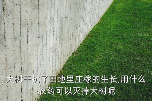 秧子快除掉了打什么農藥