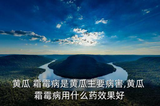 黃瓜 霜霉病是黃瓜主要病害,黃瓜 霜霉病用什么藥效果好