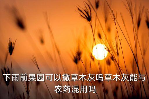 農藥里的灰塵叫什么