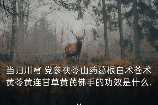 當歸川穹 黨參茯苓山藥葛根白術蒼術黃苓黃連甘草黃芪佛手的功效是什么...