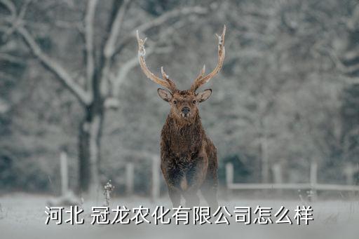 冠龍農(nóng)藥舉格是什么產(chǎn)品