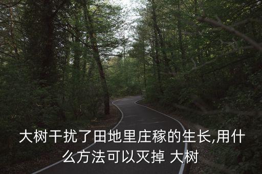  大樹干擾了田地里莊稼的生長,用什么方法可以滅掉 大樹