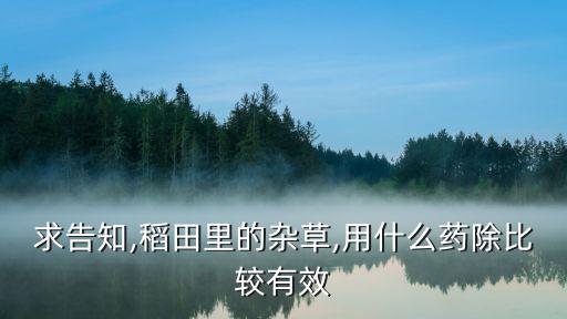 農民使用什么農藥好用,農民噴農藥的機器叫什么