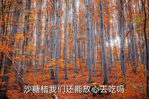 沙糖桔我們還能放心去吃嗎