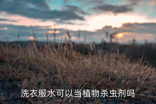 洗衣服水可以當(dāng)植物殺蟲劑嗎