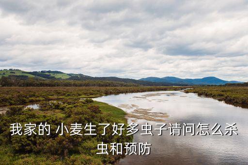 小麥放什么農藥防蟲子叮咬