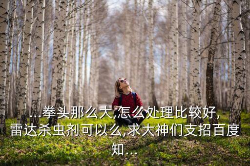 ...拳頭那么大,怎么處理比較好,雷達殺蟲劑可以么,求大神們支招百度知...
