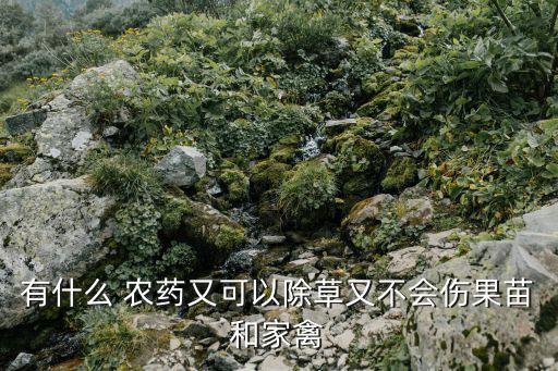 噴什么農(nóng)藥不長草不死呢,什么農(nóng)藥三年不長草