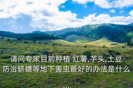 紅薯打什么農藥防蟲好用,種紅薯噴什么農藥防蟲