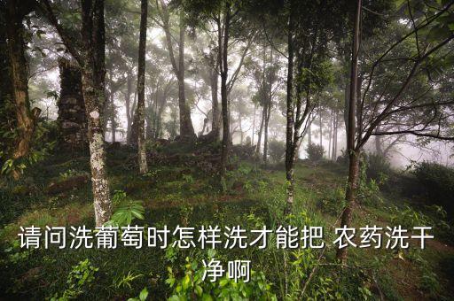 請問洗葡萄時怎樣洗才能把 農藥洗干凈啊