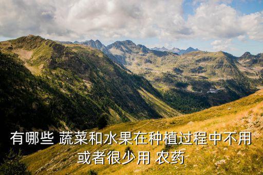 有哪些 蔬菜和水果在種植過程中不用或者很少用 農藥