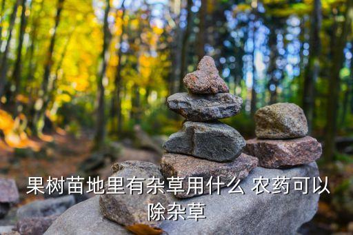  果樹苗地里有雜草用什么 農藥可以除雜草