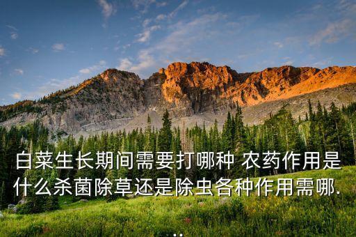 大白菜蟲(chóng)的農(nóng)藥是什么,蟲(chóng)地樂(lè)是什么農(nóng)藥