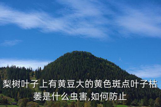,什么農(nóng)藥能滅塔柏