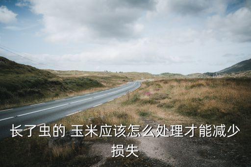 什么農藥殺死玉米蟲,治玉米蟲的噴什么農藥