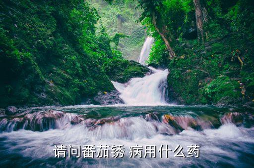 請(qǐng)問(wèn)番茄銹 病用什么藥