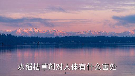 水稻枯草劑對(duì)人體有什么害處