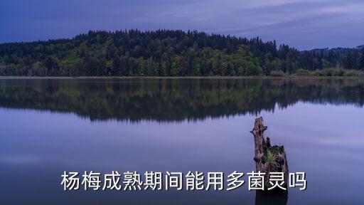 噴楊梅要用什么農藥,楊梅噴什么葉面肥好
