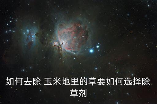 如何去除 玉米地里的草要如何選擇除草劑