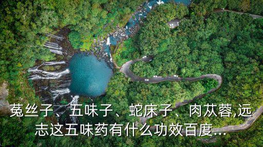 菟絲子、五味子、蛇床子、肉蓯蓉,遠志這五味藥有什么功效百度...