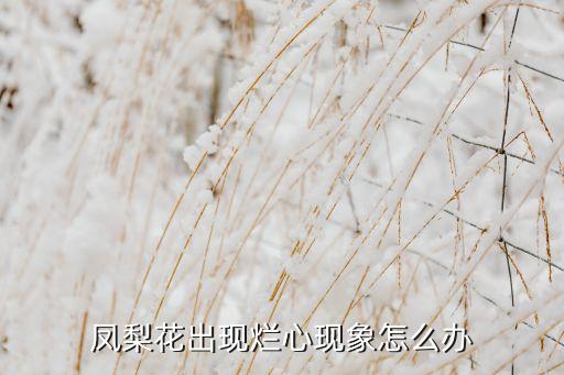 爛心用什么農(nóng)藥好,什么農(nóng)藥能快速爛樹根