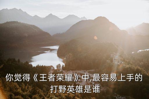 你覺得《王者榮耀》中,最容易上手的 打野英雄是誰