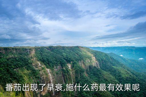 番茄出現了早衰,施什么藥最有效果呢