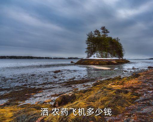 灑 農(nóng)藥飛機(jī)多少錢