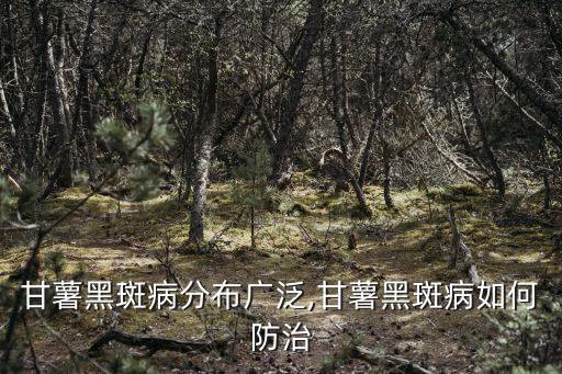 紅薯打農藥什么時間打,什么樣的紅薯沒農藥